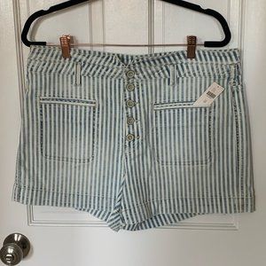 Anthropologie Pilcro and the Letterpress Pinstripe Demin Shorts. Size 32